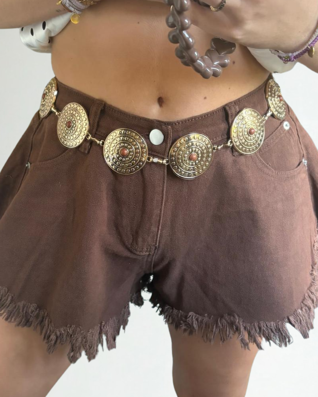 Chain Belt Munten Bruin